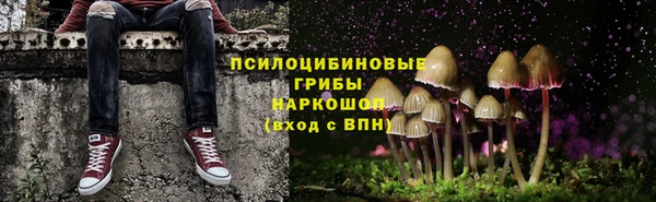 стафф Алексин