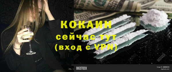 стафф Алексин