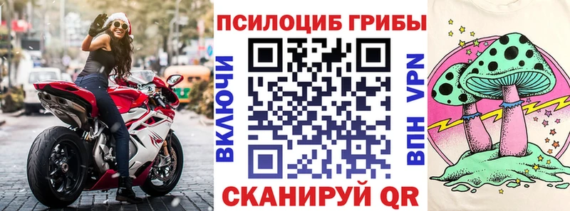 Галлюциногенные грибы MAGIC MUSHROOMS  Купить  Адыгейск 